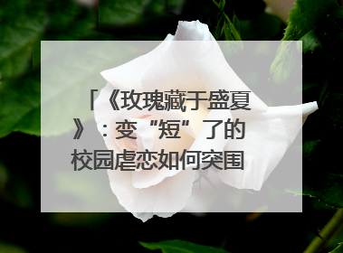 《玫瑰藏于盛夏》：变“短”了的校园虐恋如何突围？｜微剧评