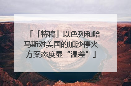 「特稿」以色列和哈马斯对美国的加沙停火方案态度显“温差”