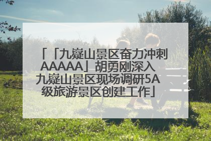 「九嶷山景区奋力冲刺AAAAA」胡勇刚深入九嶷山景区现场调研5A级旅游景区创建工作
