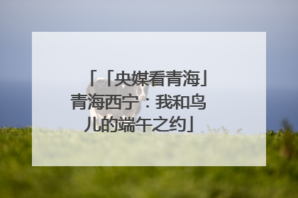 「央媒看青海」青海西宁：我和鸟儿的端午之约