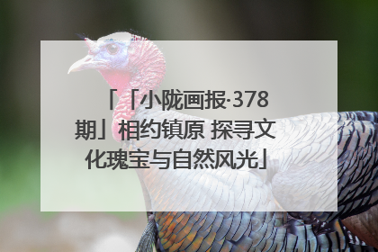 「小陇画报·378期」相约镇原 探寻文化瑰宝与自然风光