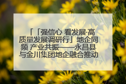 「强信心 看发展·高质量发展调研行」地企同频 产业共振——永昌县与金川集团地企融合推动重大项目建设