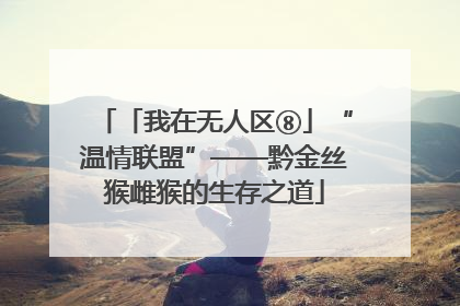 「我在无人区⑧」“温情联盟”——黔金丝猴雌猴的生存之道