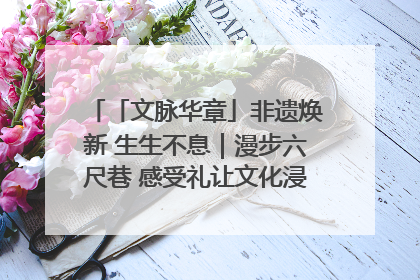 「文脉华章」非遗焕新 生生不息｜漫步六尺巷 感受礼让文化浸润的“巷”往生活