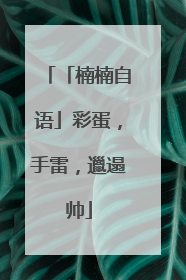 「楠楠自语」彩蛋，手雷，邋遢帅