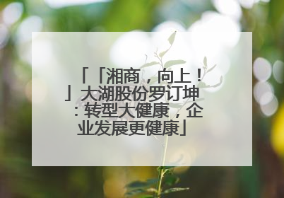 「湘商，向上！」大湖股份罗订坤：转型大健康，企业发展更健康