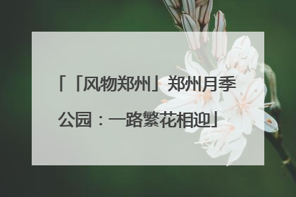 「风物郑州」郑州月季公园：一路繁花相迎
