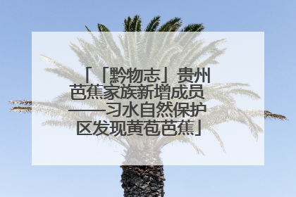 「黔物志」贵州芭蕉家族新增成员——习水自然保护区发现黄苞芭蕉