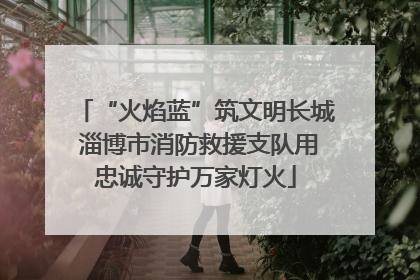 “火焰蓝”筑文明长城 淄博市消防救援支队用忠诚守护万家灯火