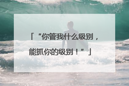 “你管我什么级别，能抓你的级别！”