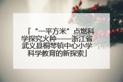 “一平方米”点燃科学探究火种——浙江省武义县桐琴镇中心小学科学教育的新探索