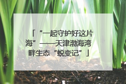 “一起守护好这片海”——天津渤海湾畔生态“蜕变记”