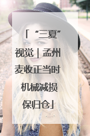 “三夏”视觉｜孟州麦收正当时 机械减损保归仓