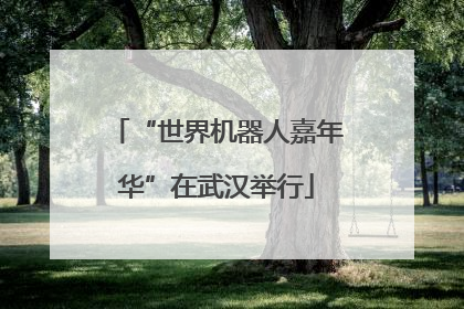 “世界机器人嘉年华”在武汉举行