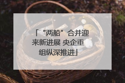 “两船”合并迎来新进展 央企重组纵深推进