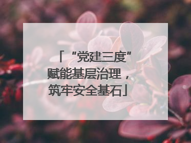 “党建三度”赋能基层治理，筑牢安全基石
