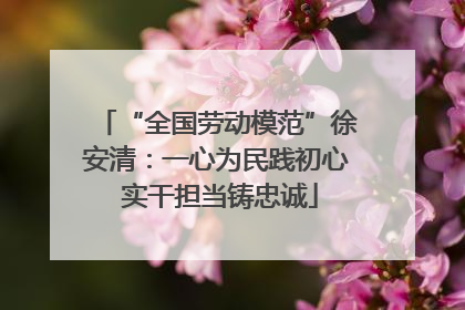 “全国劳动模范”徐安清：一心为民践初心 实干担当铸忠诚