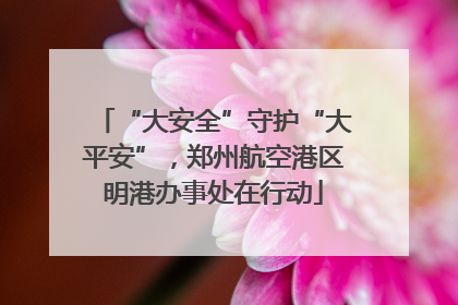“大安全”守护“大平安”，郑州航空港区明港办事处在行动