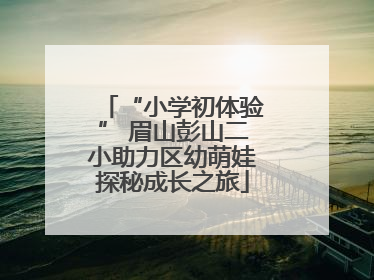 “小学初体验” 眉山彭山二小助力区幼萌娃探秘成长之旅