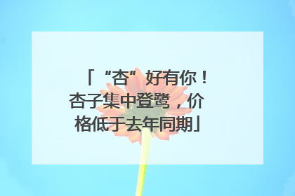 “杏”好有你！杏子集中登鹭，价格低于去年同期