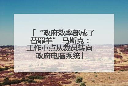 “政府效率部成了替罪羊” 马斯克：工作重点从裁员转向政府电脑系统