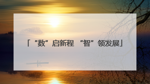 “数”启新程 “智”领发展
