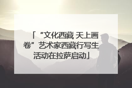“文化西藏 天上画卷”艺术家西藏行写生活动在拉萨启动