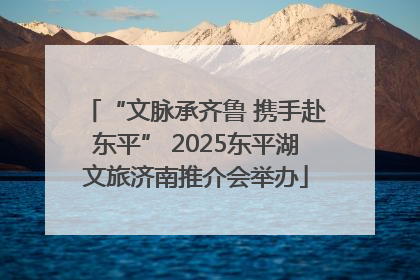 “文脉承齐鲁 携手赴东平” 2025东平湖文旅济南推介会举办