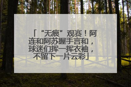 “无痕”观赛！阿连和阿苏握手言和，球迷们挥一挥衣袖，不留下一片云彩