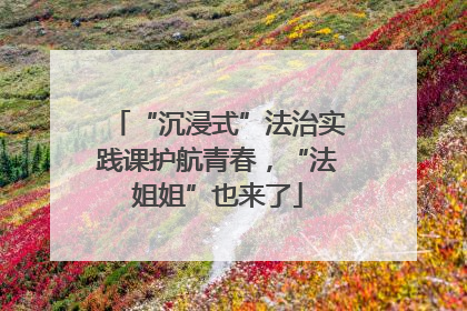 “沉浸式”法治实践课护航青春，“法姐姐”也来了