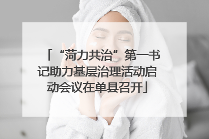 “菏力共治”第一书记助力基层治理活动启动会议在单县召开