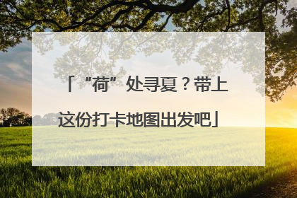 “荷”处寻夏？带上这份打卡地图出发吧