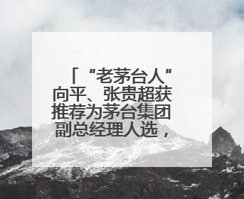 “老茅台人”向平、张贵超获推荐为茅台集团副总经理人选，后者是集团最年轻党委委员