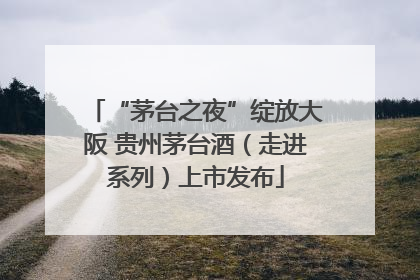 “茅台之夜”绽放大阪 贵州茅台酒（走进系列）上市发布