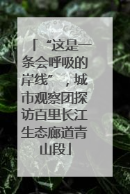 “这是一条会呼吸的岸线”，城市观察团探访百里长江生态廊道青山段