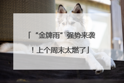 “金牌雨”强势来袭！上个周末太燃了