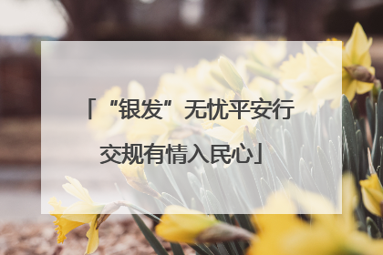 “银发”无忧平安行 交规有情入民心