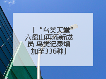 “鸟类天堂”六盘山再添新成员 鸟类记录增加至336种