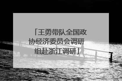 王勇带队全国政协经济委员会调研组赴浙江调研