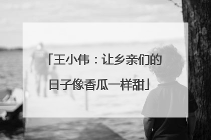 王小伟：让乡亲们的日子像香瓜一样甜