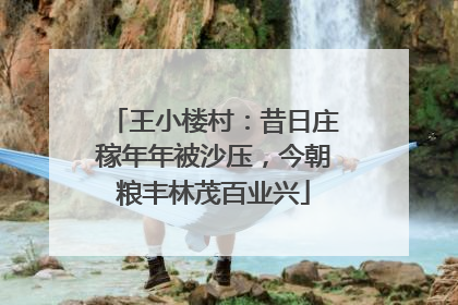 王小楼村：昔日庄稼年年被沙压，今朝粮丰林茂百业兴