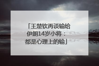 王楚钦再谈输给伊朗14岁小将：都是心理上的输