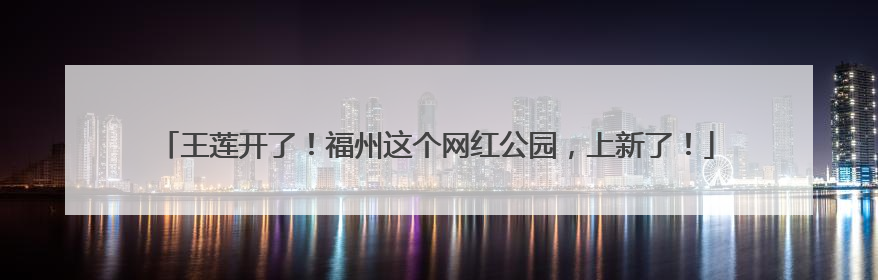 王莲开了！福州这个网红公园，上新了！
