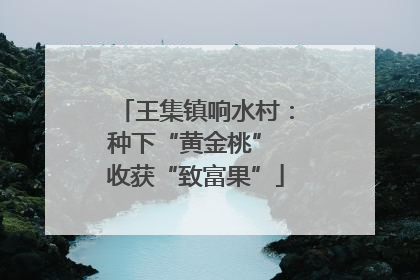 王集镇响水村：种下“黄金桃” 收获“致富果”