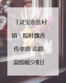 灵宝市焦村镇：粽叶飘香传孝意 志愿温情暖夕阳