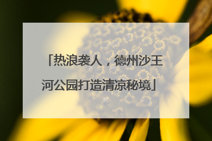 热浪袭人，德州沙王河公园打造清凉秘境