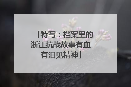 特写：档案里的浙江抗战故事有血有泪见精神