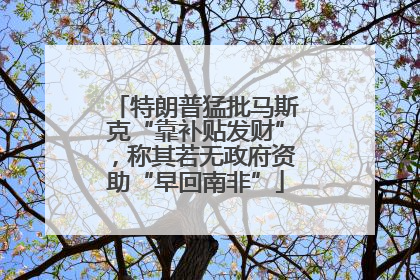 特朗普猛批马斯克“靠补贴发财”，称其若无政府资助“早回南非”