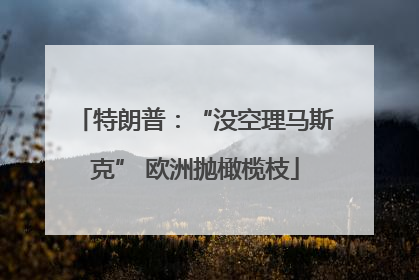 特朗普：“没空理马斯克” 欧洲抛橄榄枝