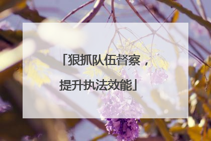 狠抓队伍督察，提升执法效能